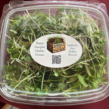 Sunny Sampler Market Promo